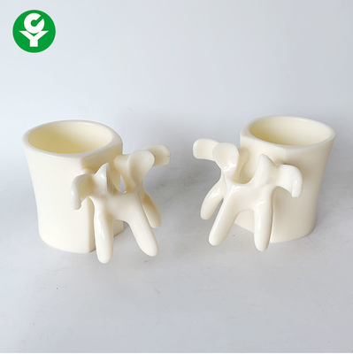 PVC avanzato Eco materiale della tazza del regalo umano vertebrale delle parti del corpo amichevole